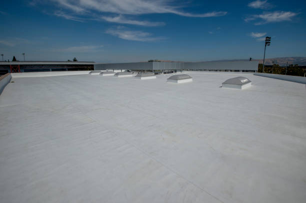 Best Sheet Metal Roofing  in Quanah, TX